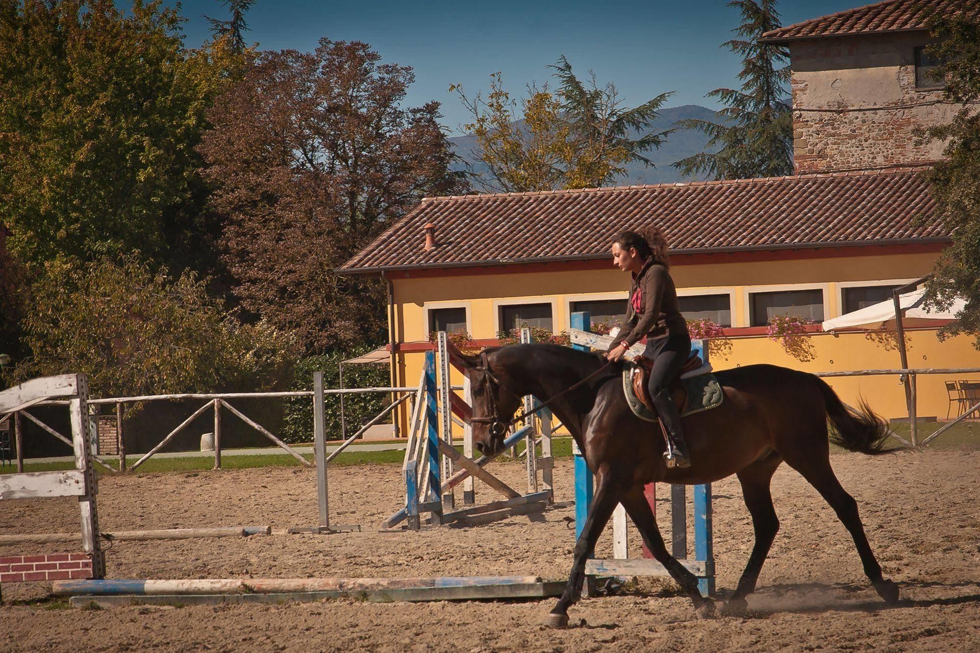 Podere Violino Sansepolcro Exteriör bild